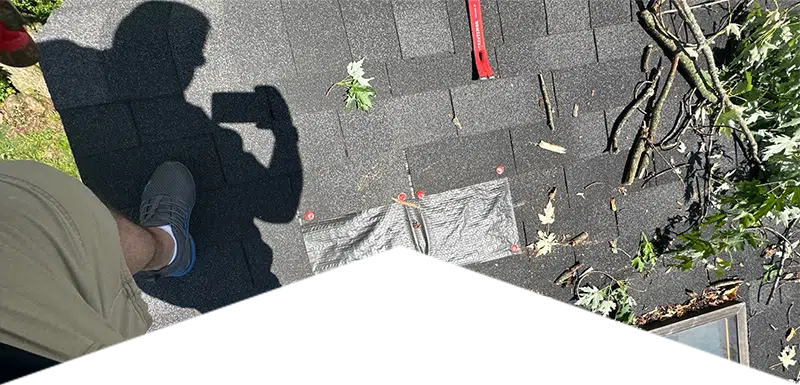 Newly Installed Roof